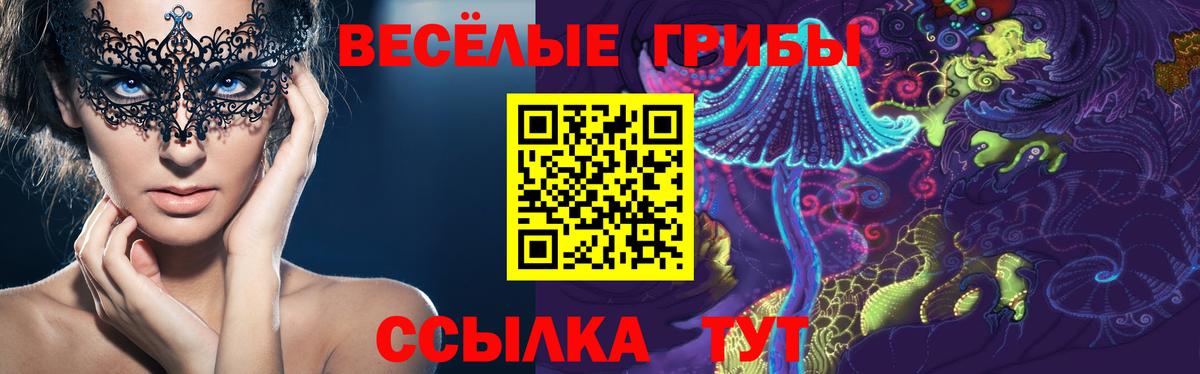 Галлюциногенные грибы Cubensis  Вход с VPN  Елец 