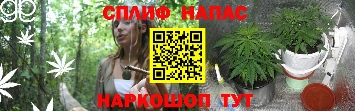 Бошки Шишки гибрид  Вход с VPN  Канабис LSD WEED  Елец 